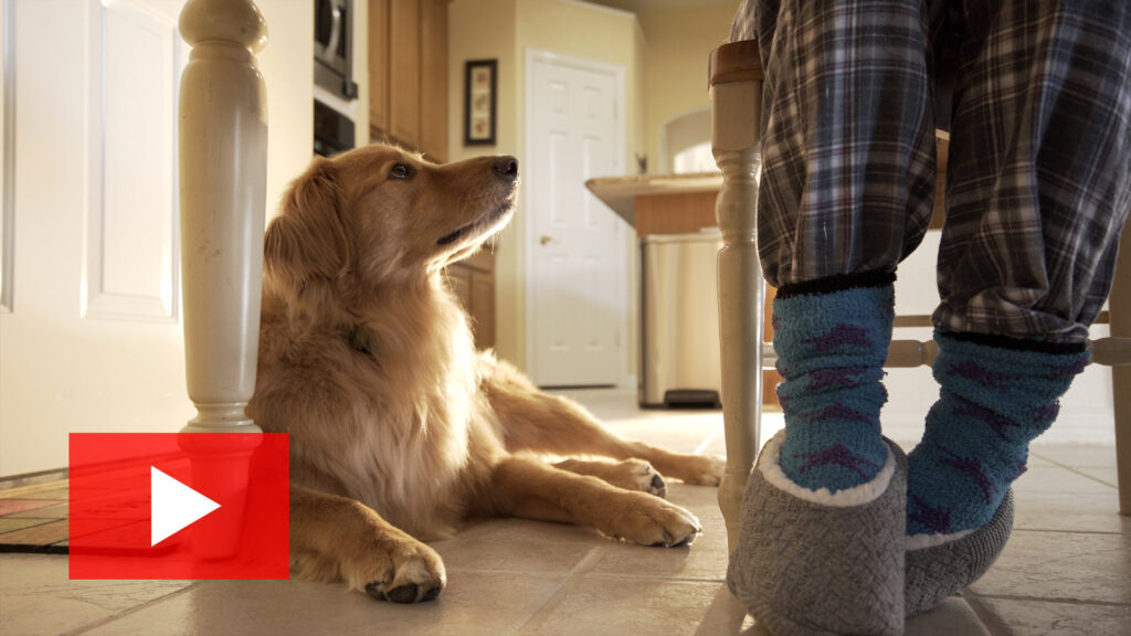 Lamar University - Week