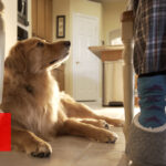 Lamar University - Week