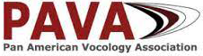 PAVA text logo