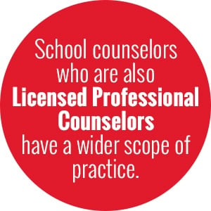 Licensed Professional Counselor Opportunity Scope