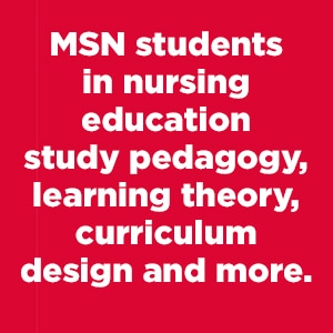 MSN student curriculum insight